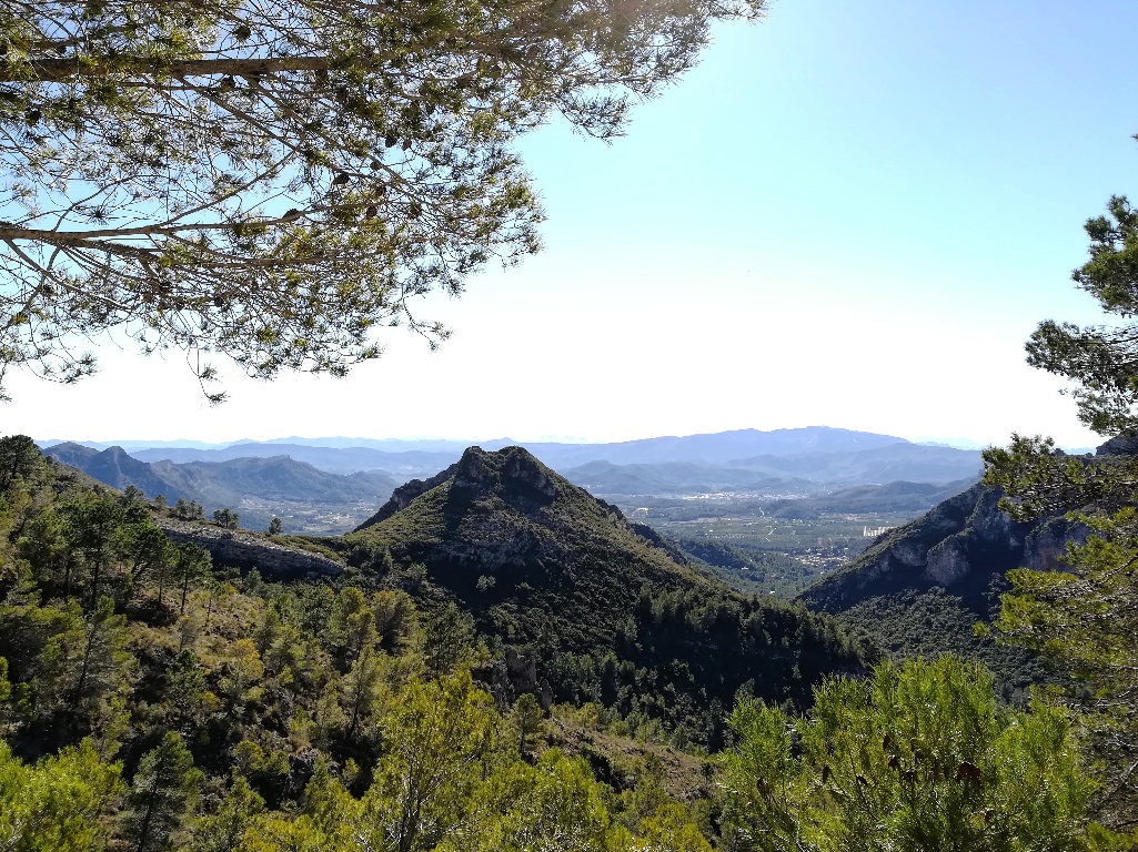La acción del viento sobre la distribución microtopográfica de las comunidades vegetales de las montañas próximas al litoral levantino